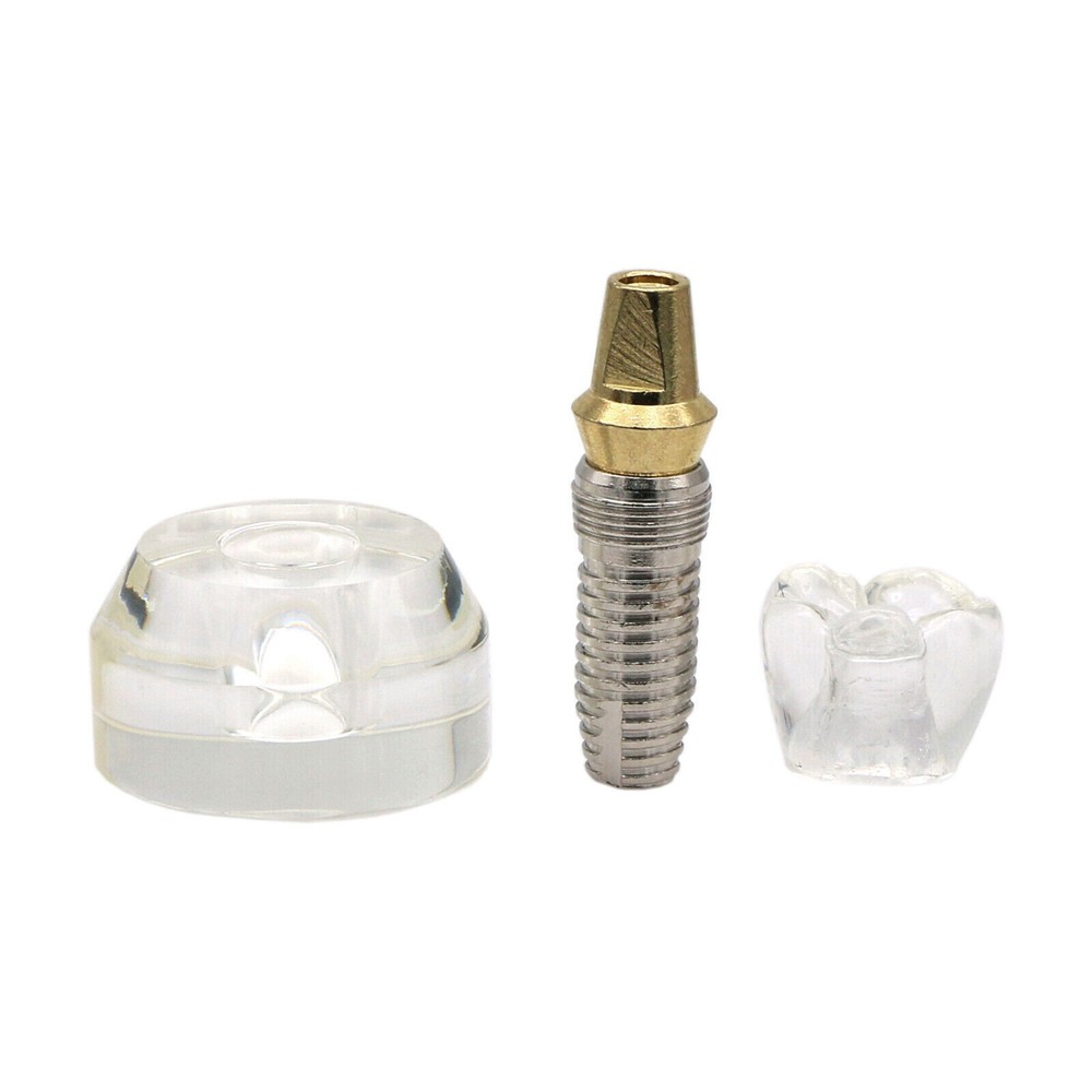 Dental Implant Model Demonstration Teeth Study Teach Crown Model 2.5x Size
