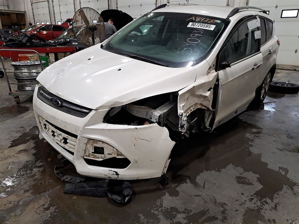 Rear 2016 Escape Camera/Projector Sku#4335195