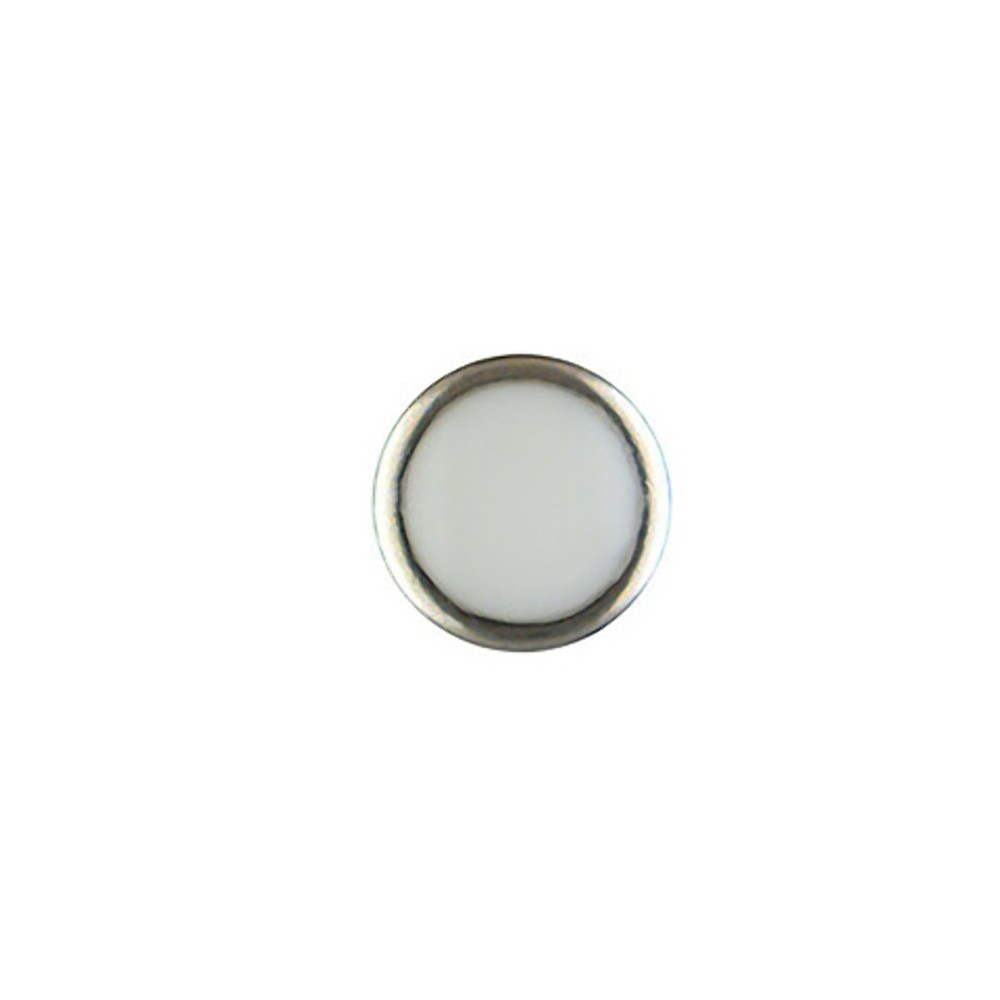 REPLACEMENT PEARL PIP SILVER LUME TURQUOISE FOR BEZEL INSERT 2MM