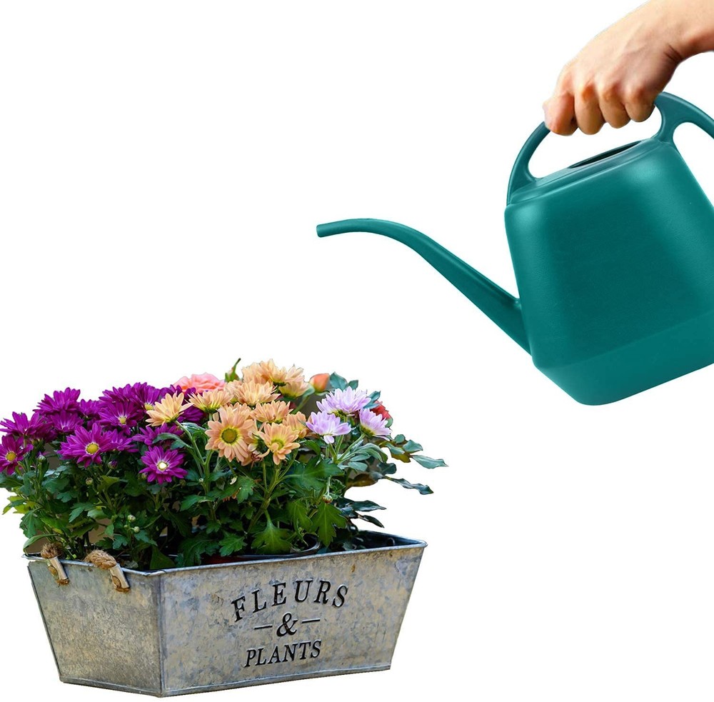 Plastic Watering Can 1 Gallon Green