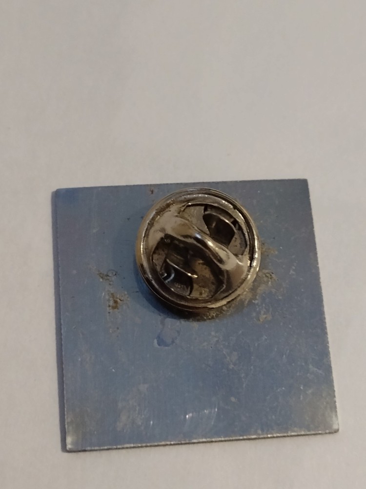 I'm Doing What Matters! United Way Lapel Pin