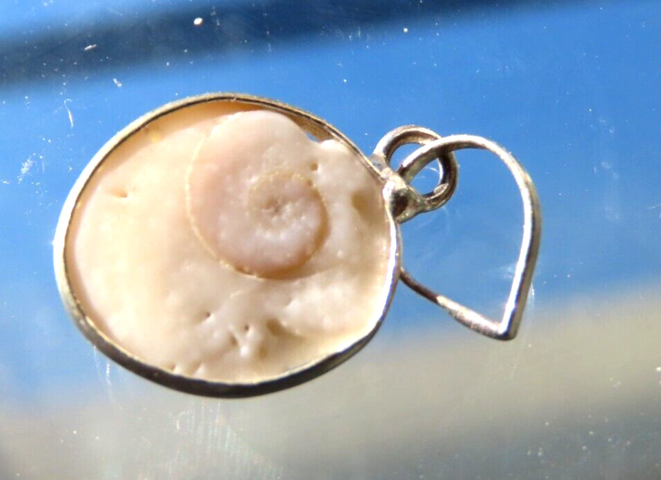 Snail Fossil Pendant