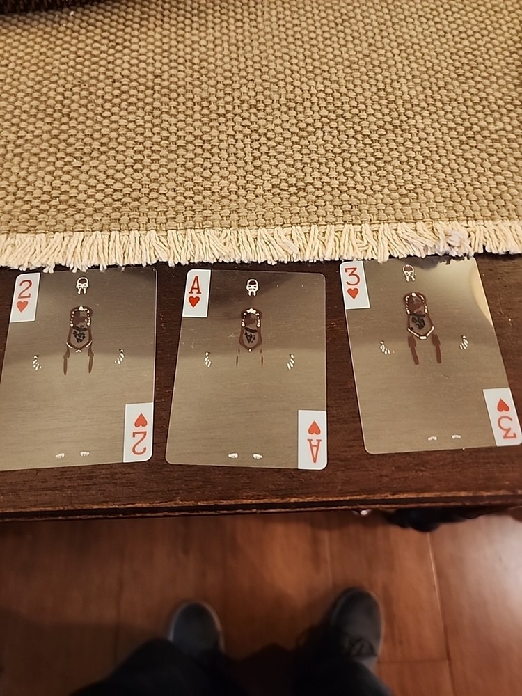 Human Anatomy Playing Cards