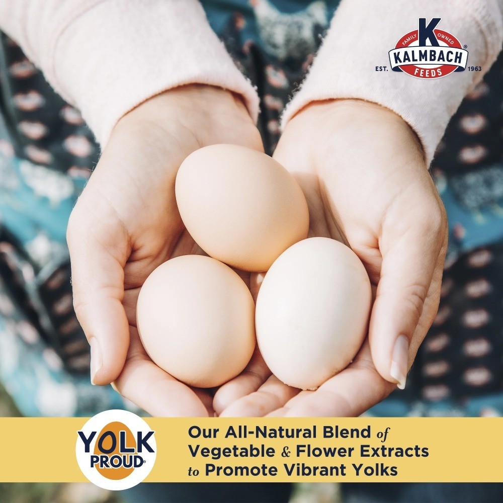 Extraordinary Whole Grain Layer Feed for Chickens, 30 lb