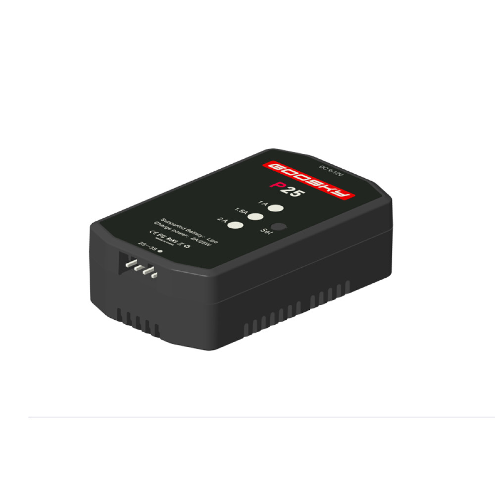 Goosky P25 2-3S Charger