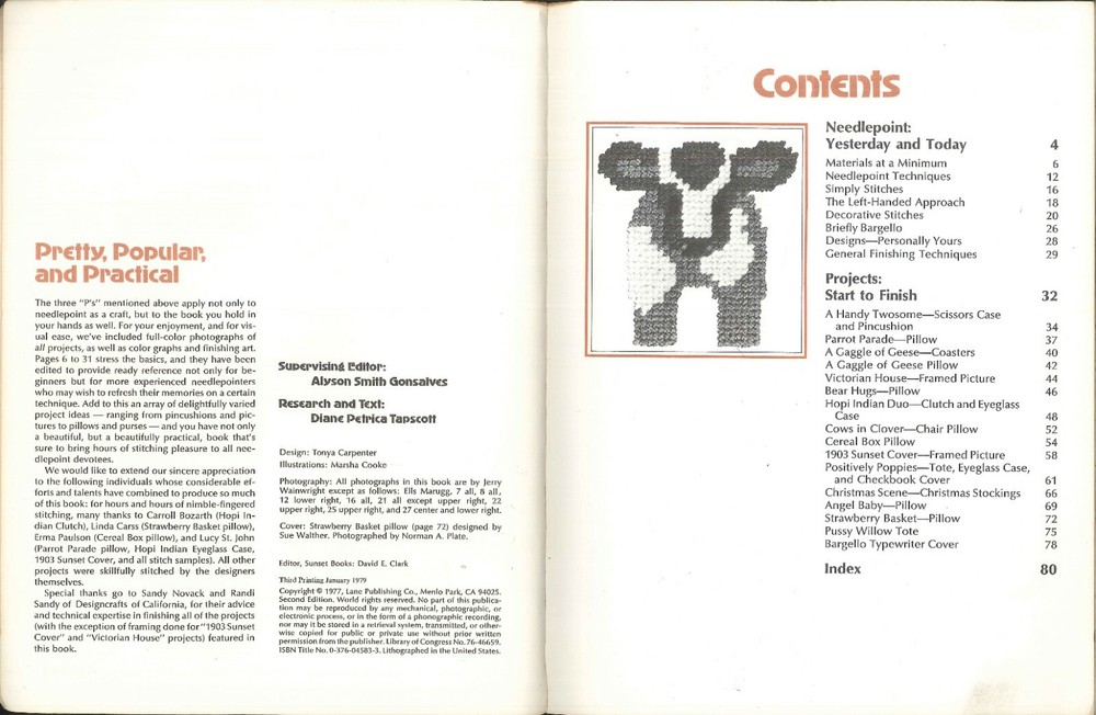 Sunset Needlepoint Techniques & Projects 1979 Stitches Christmas Stocking Pillow