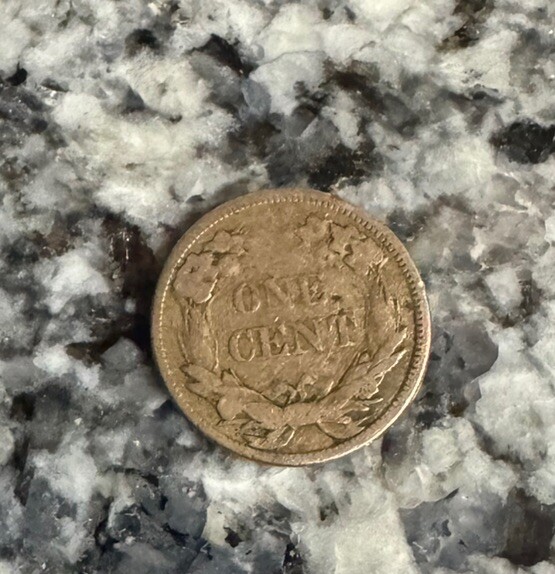 1858 Flying Eagle Cent - Small Letters - #9