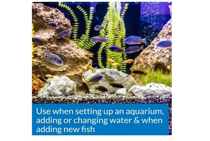 API STRESS COAT Aquarium Water Conditioner 16-Ounce Bottle