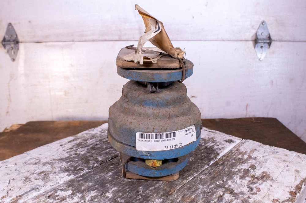 Dow Kynar Steel Check Valve 355