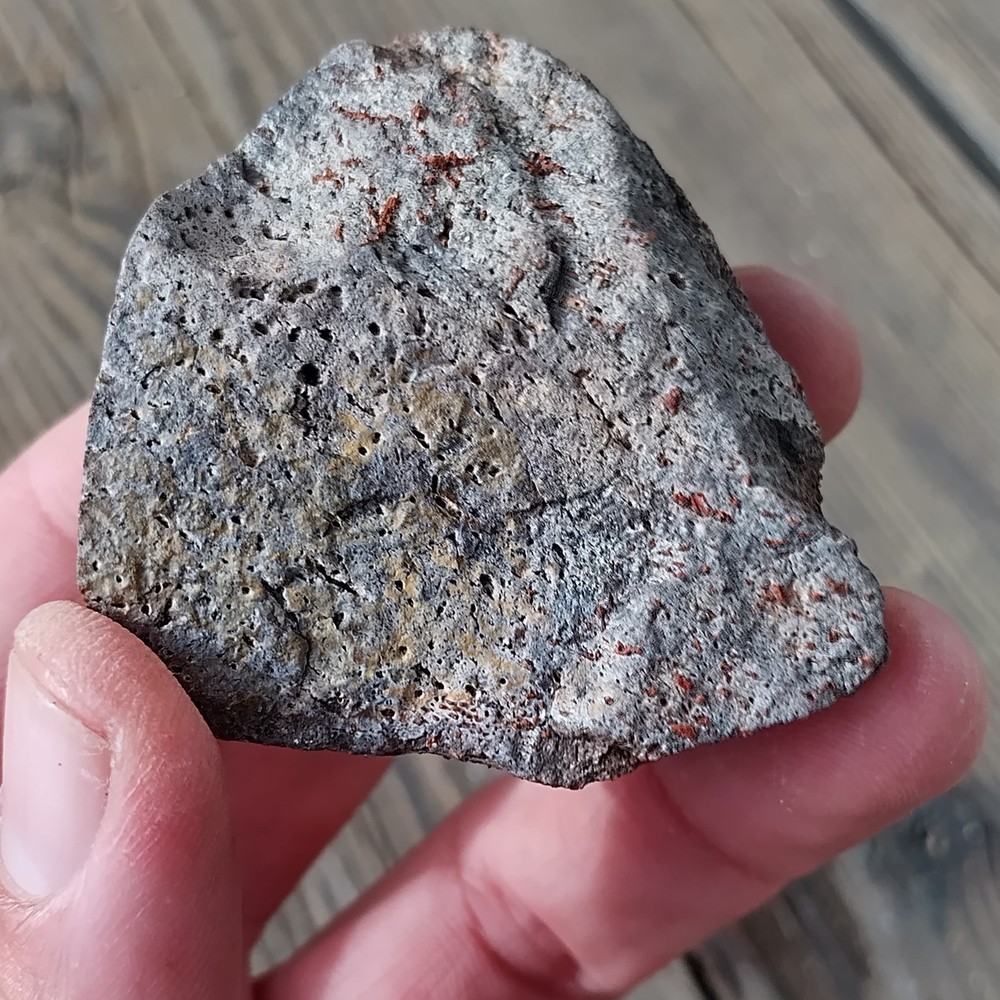 Polished Dinosaur Bone * Utah * 3.4 oz.