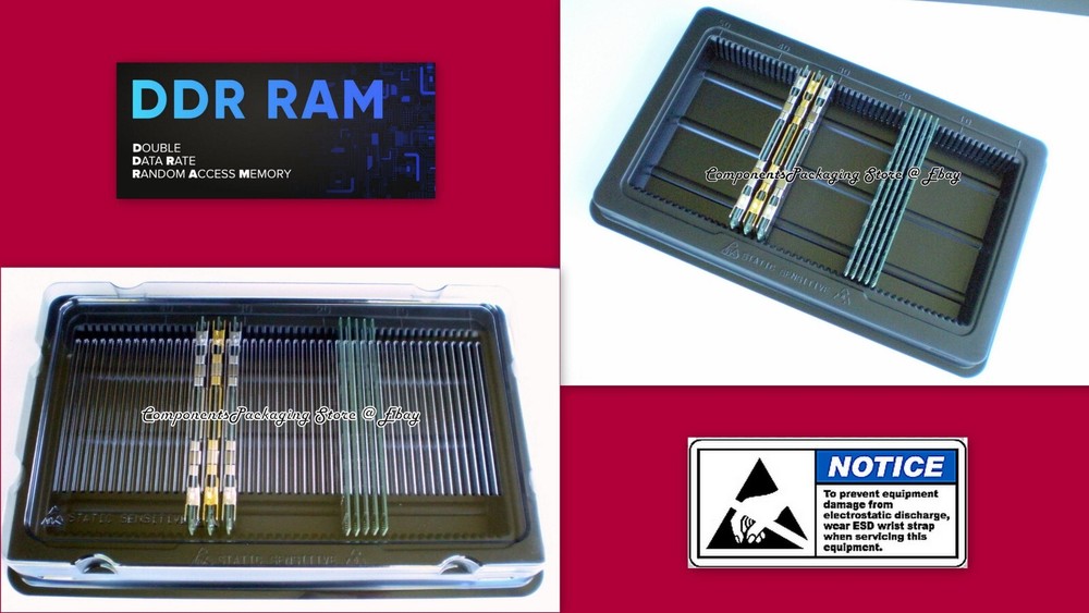 Long DIMM DRAM Memory Tray Holder Container for DDR PC Server Modules 2 Fits 100