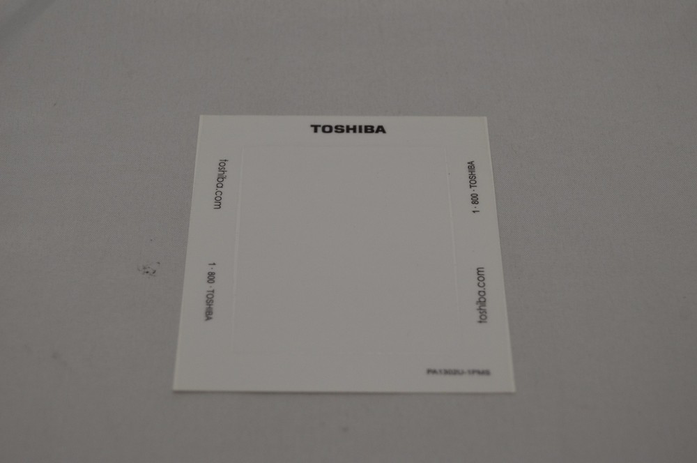 Screen Overlay for Toshiba Pocket PC