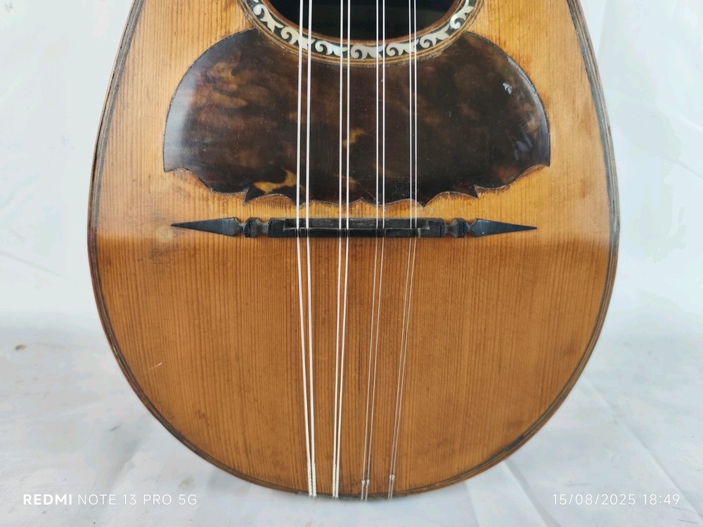 Mandolin 4/4 Giuseppe Cesolari 1905 Rome 曼陀林 만돌린マンドリン