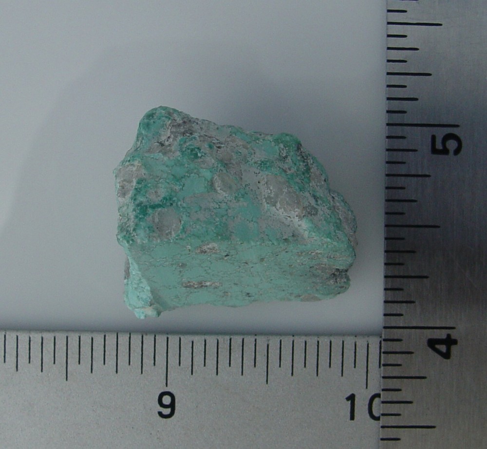Turquoise small Lapidary Rough 1351