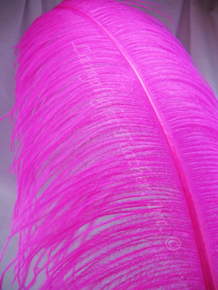 Fuchsia Ostrich Feather Plume Premium 18-24+ inch per Each
