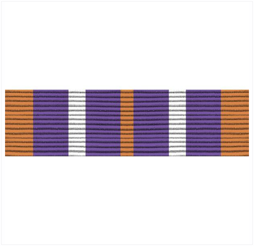 Vanguard ARMY ROTC RIBBON UNIT: N-4-6: AJROTC SERVICE LEARNING