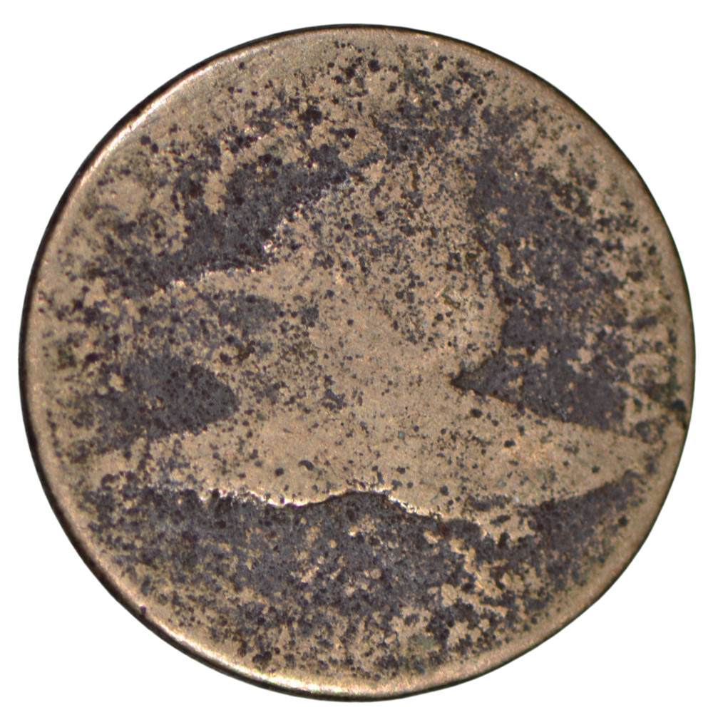 1858 1C Flying Eagle Cent ~ AG Details