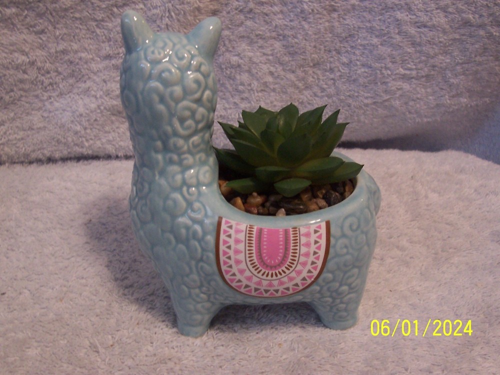 Blue Multicolor Llama / Alpaca Succulent New No Box