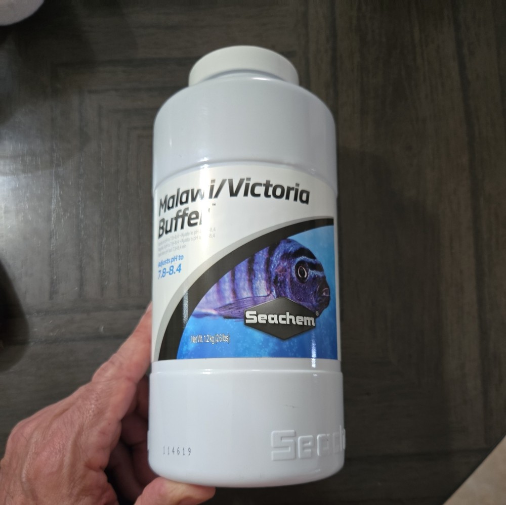 Malawi/Victoria Buffer, 1.2 kg / 2.6 lbs