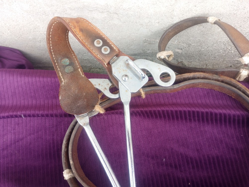 used leather horse halter