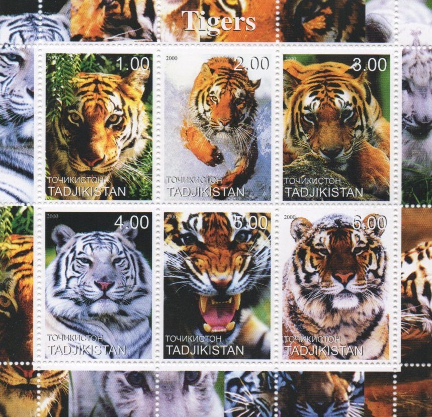Tigers wild cats 2000 MNH stamp sheetlet