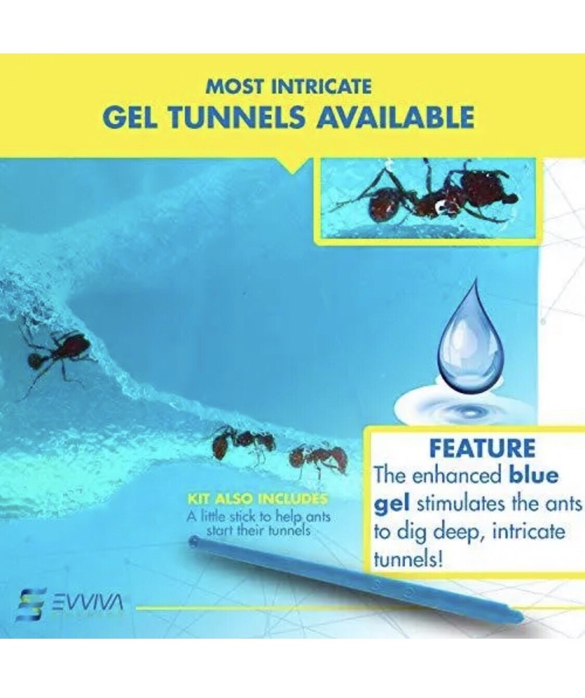 Evviva Sciences Ant Cosmos