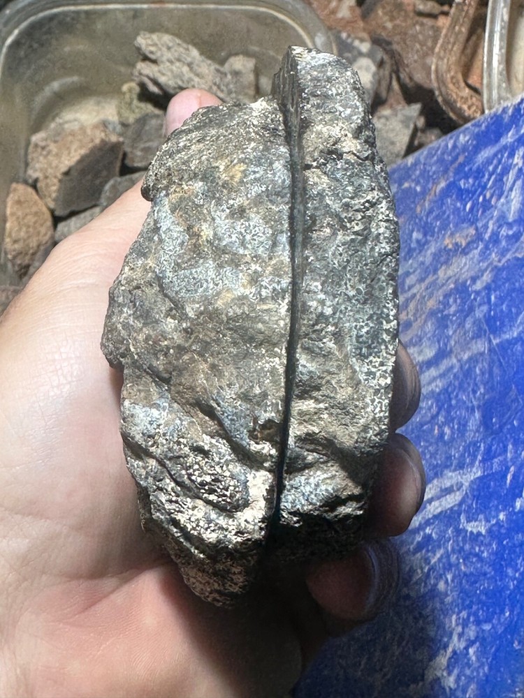 Dinosaur bone rough **hxtled wash split.