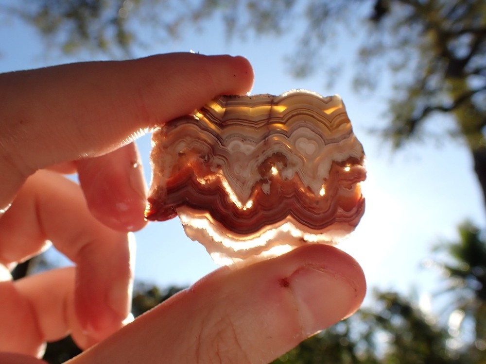 Laguna lace agate slab 14.6g