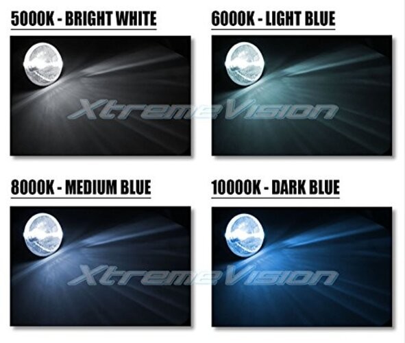 HID Xenon Replacement Bulbs - D4S / D4R / D4C - 6000K Light Blue (1 Pair)