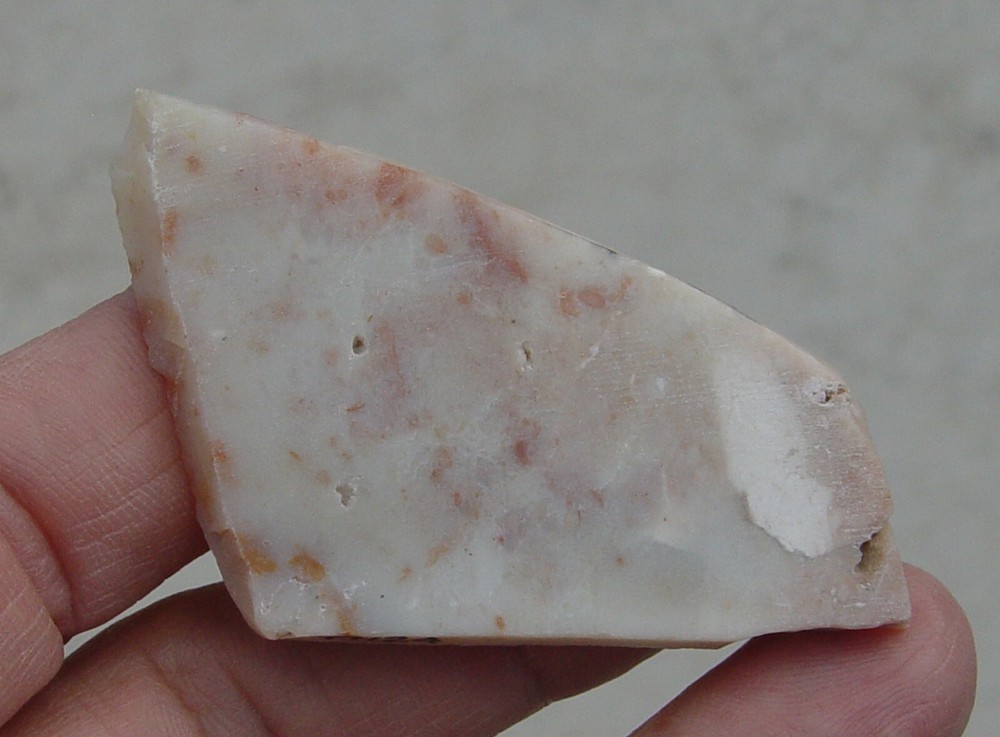 Parrall Agate Lapidary Slab T1124