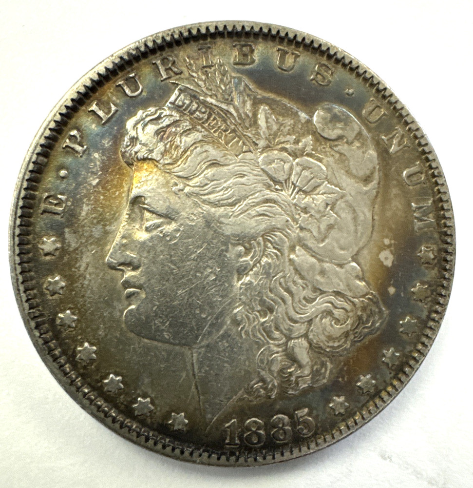 1885 P Morgan Silver Dollar Toned