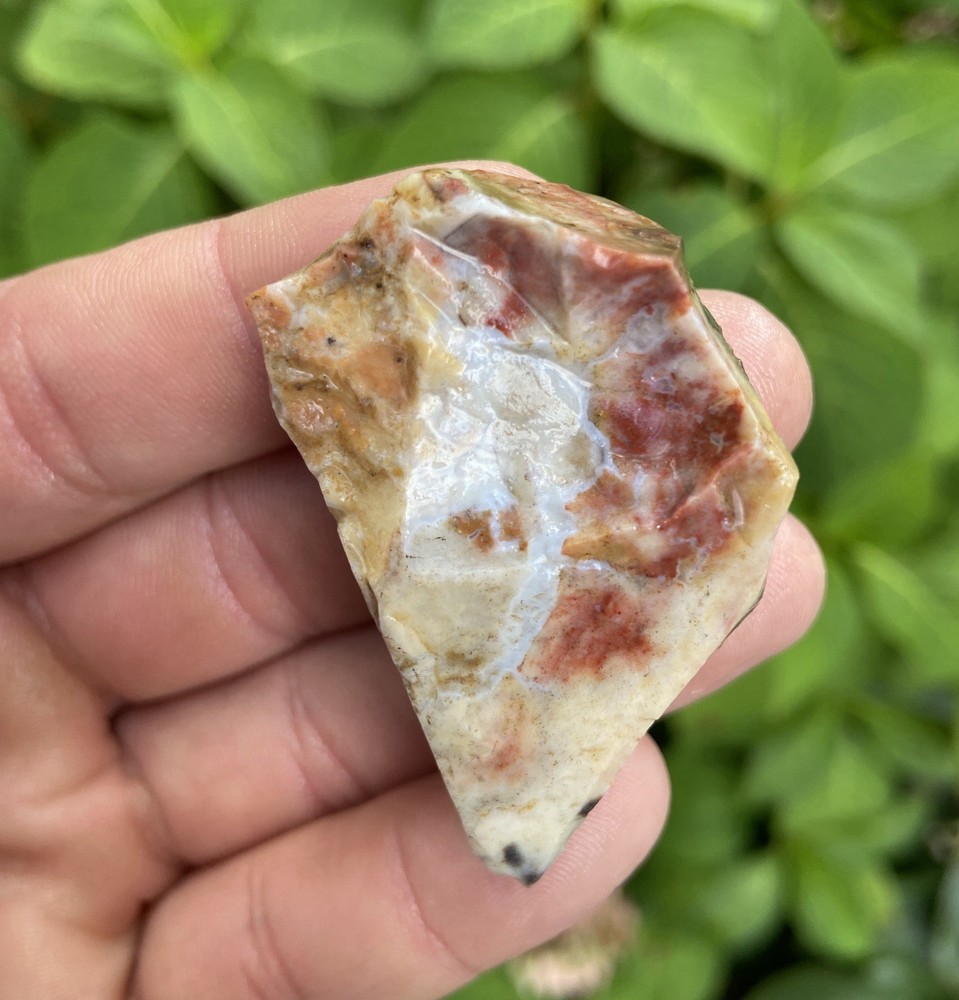 4 Pc Unique Lapidary Rough Wholesale 8.45 Oz