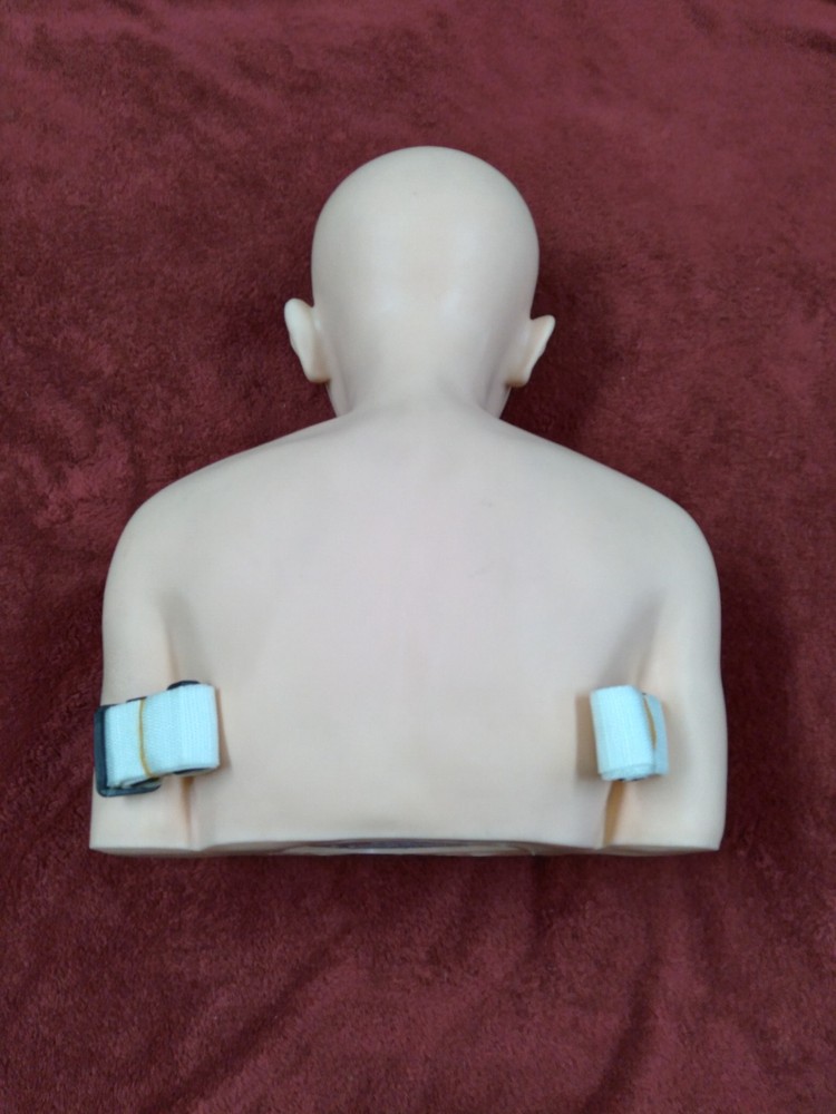Pivot Point Mannequin Head Torso - Cosmetology Practice Tool - # 3121