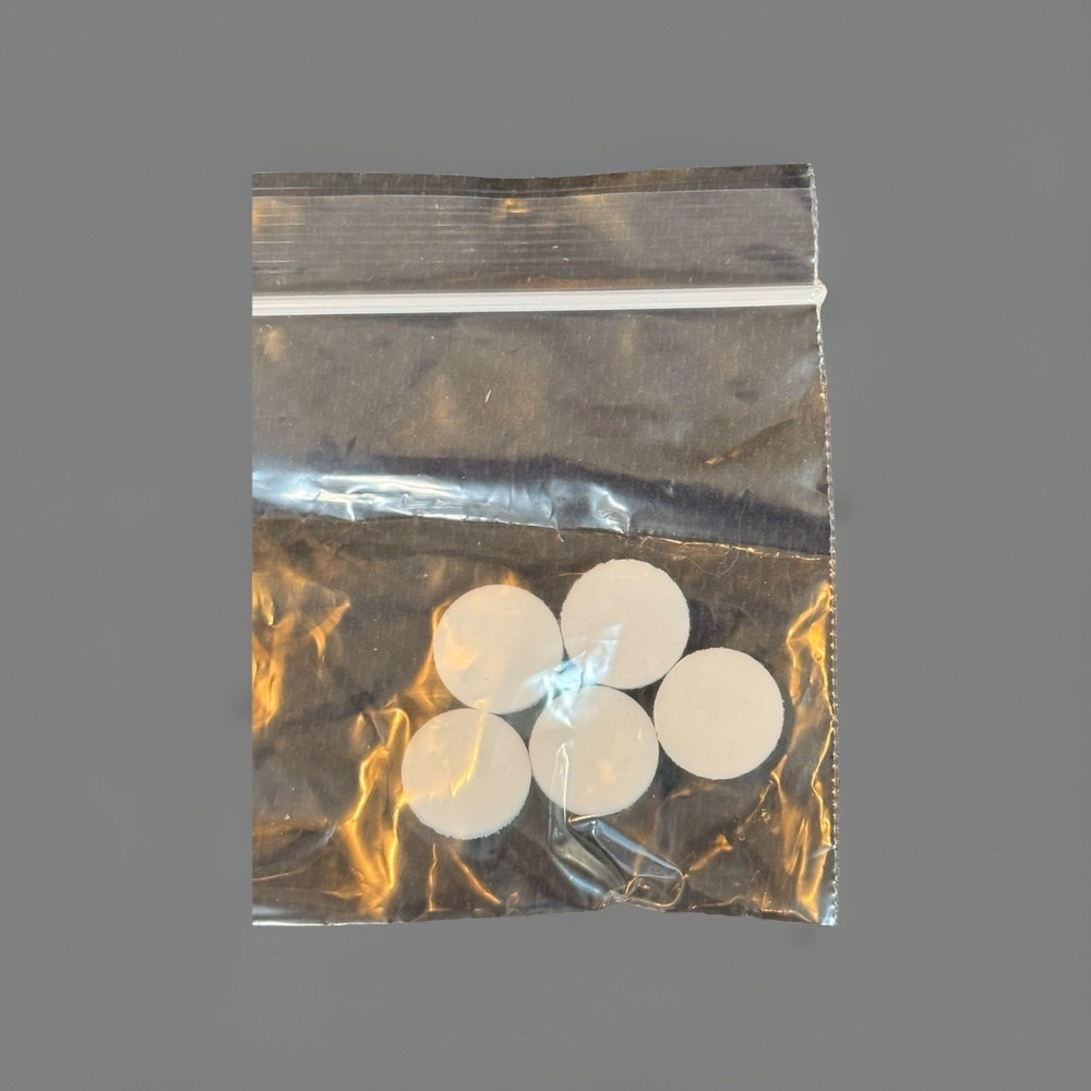 BW Particulate Pump Filter Replacement (5/Pack) GA-PFMAX