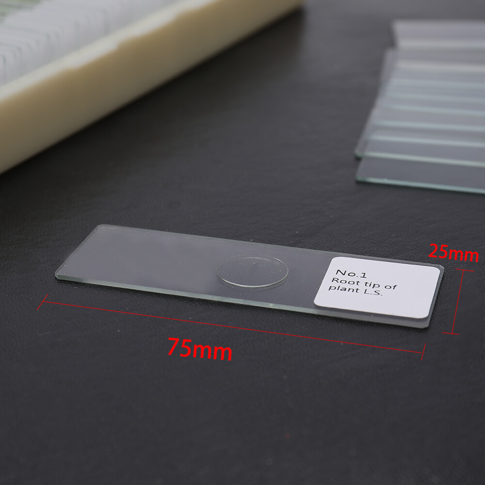 100PCS/Set Biological Glass Sample Portable Educational Microscope Slides J4E6