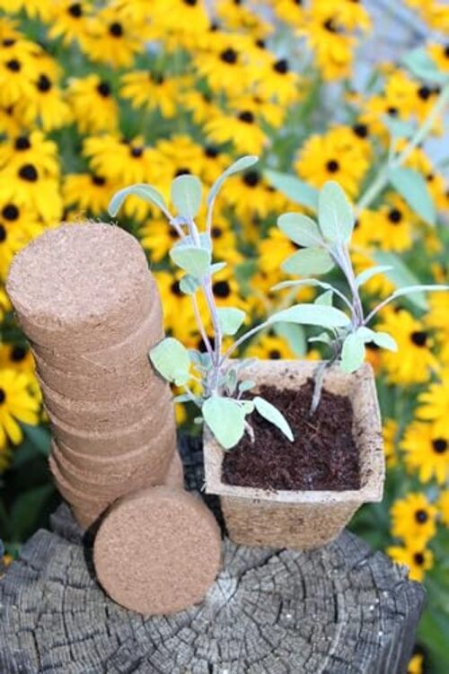 Netted Coco Coir Discs (30mm 50-Pack) - Coconut Coir Seed Starting 30MM 50-PACK