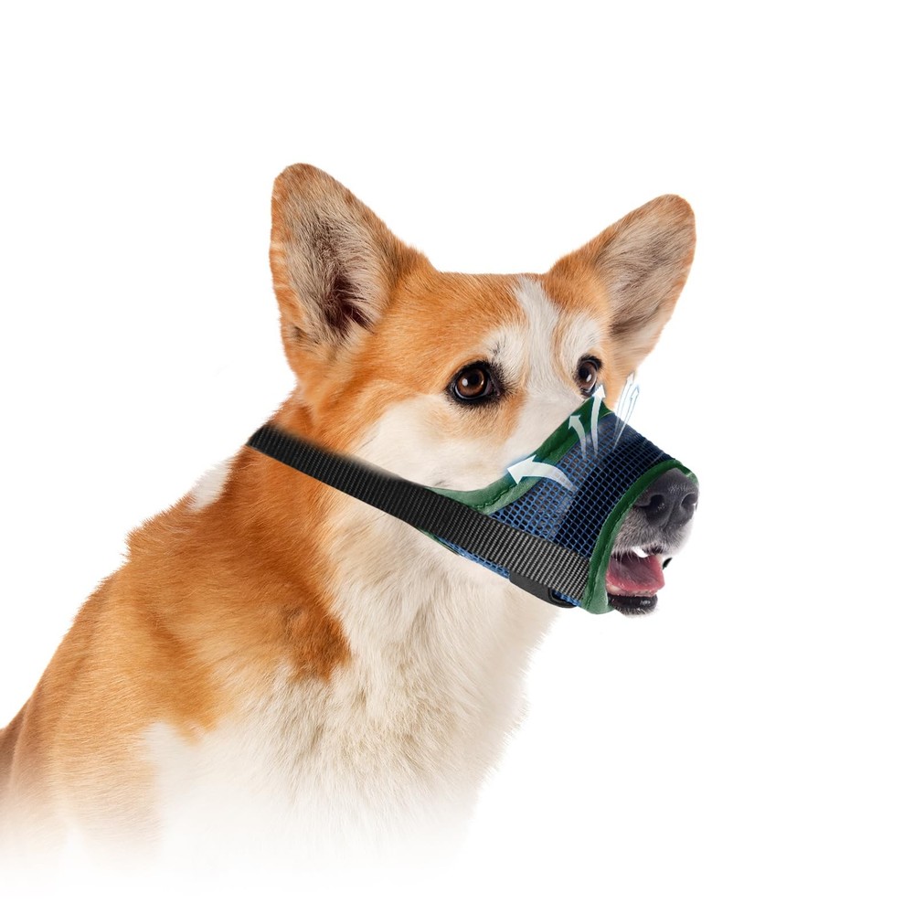 Dog Muzzle, Teal Mesh Soft Muzzle for Medium Dogs, Breathable Mouth S