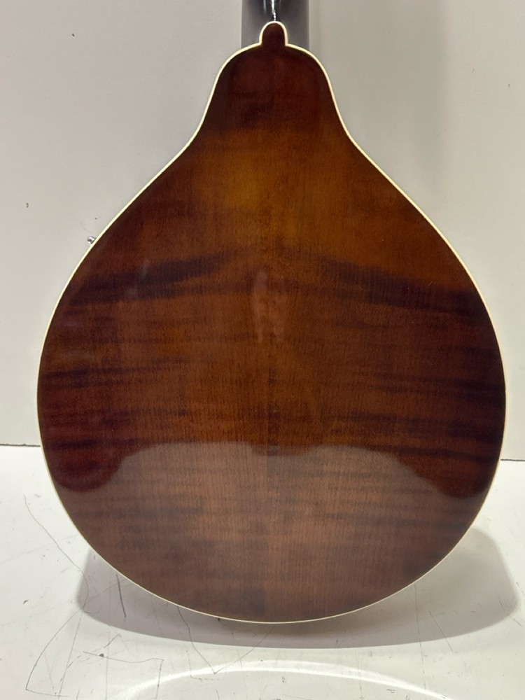 KENTUCKY MANDOLIN KM-156 8-STRING (P22016212)