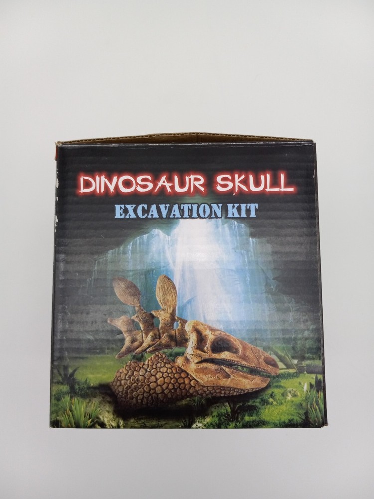Trex Dinosaur Skull Excavation Kit/Dig Ages 3+
