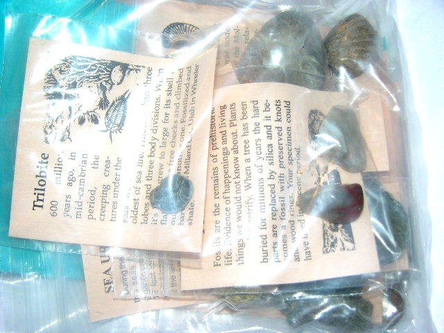 Fossil kit educational w/10 different fossils info & geological time card plus