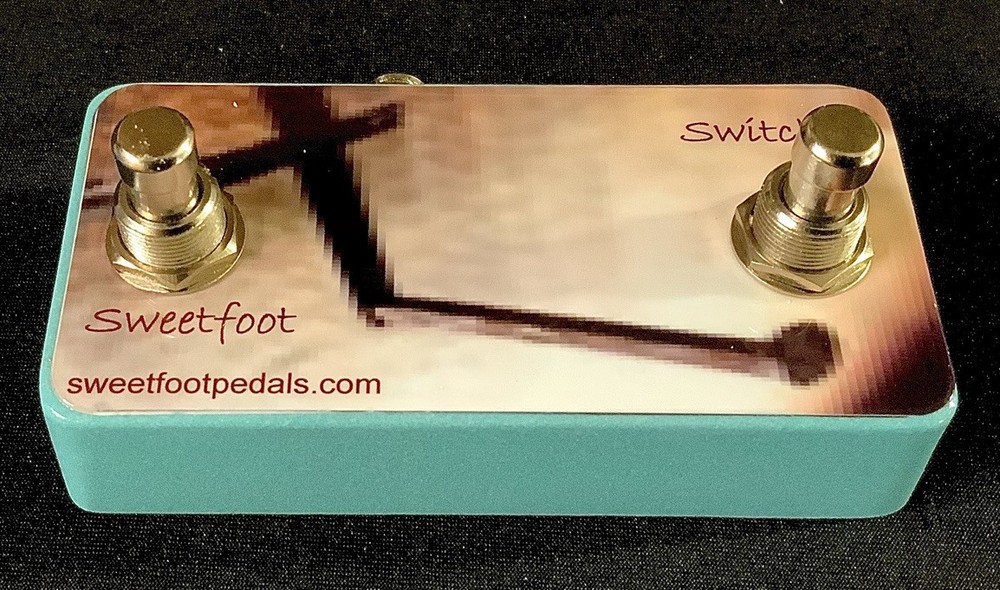 2 Button Footswitch for Pigtronix Echolution, Infinity etc. - HANDMADE IN USA