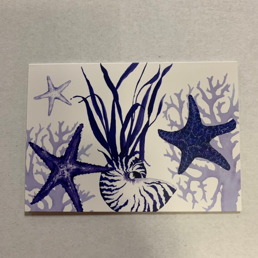 Star Fish Shell Stampped - Boxed Note Cards 10 Pack 09-071