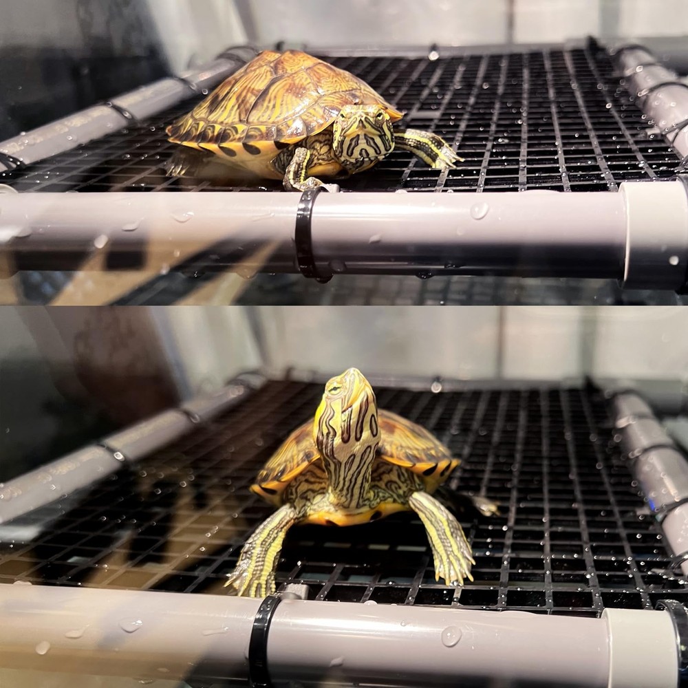 Extra Large Turtle Basking Platform for Aquatic Turtles Tanks Accessories Ram...
