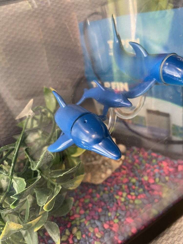 tank crashers dolfin aquarium decor