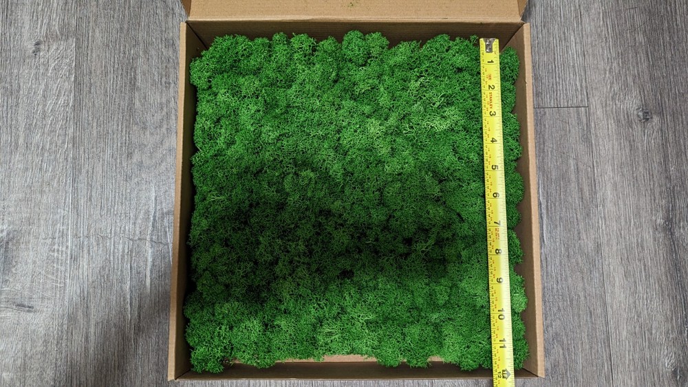 Preserved Moss