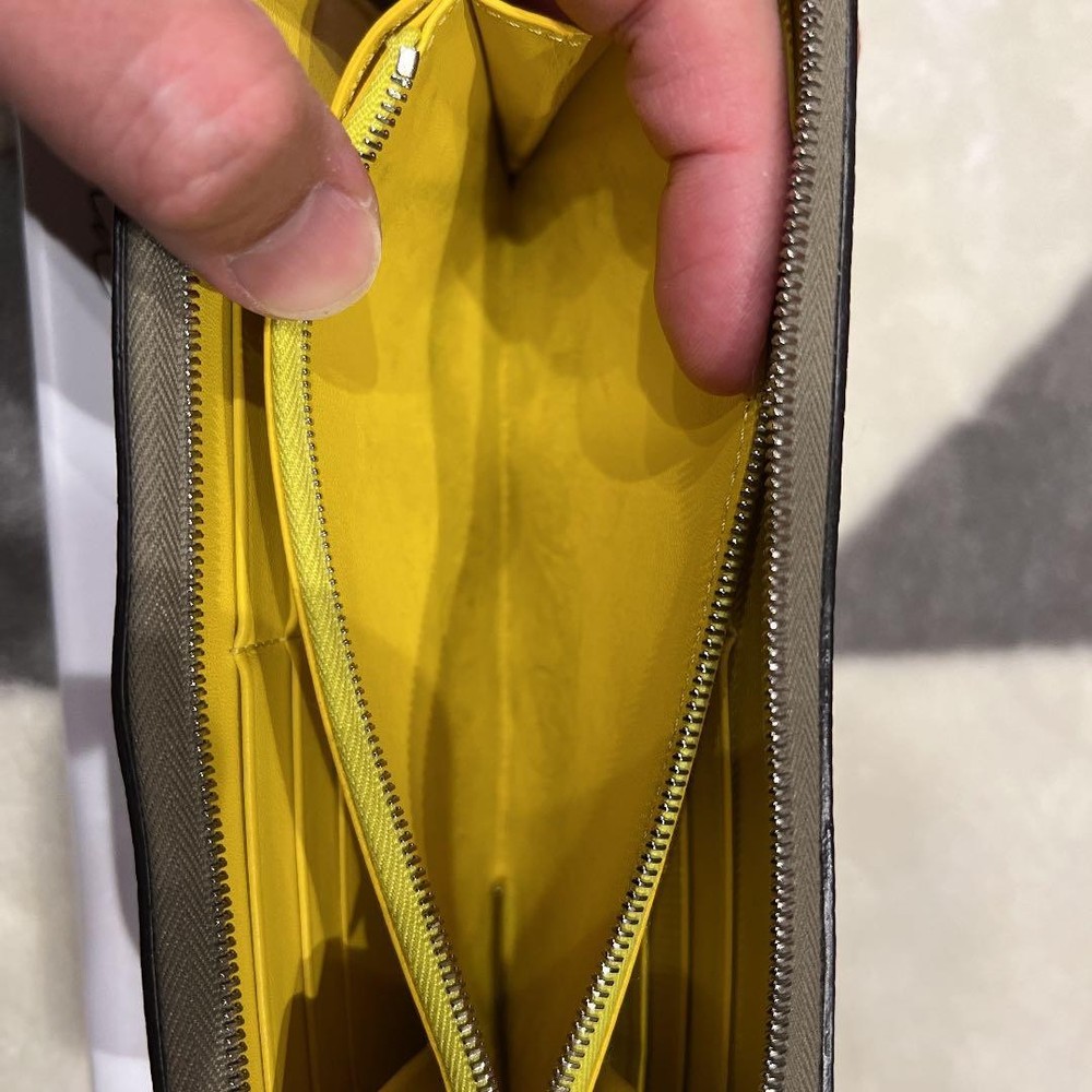 Celine Long Wallet From Japan