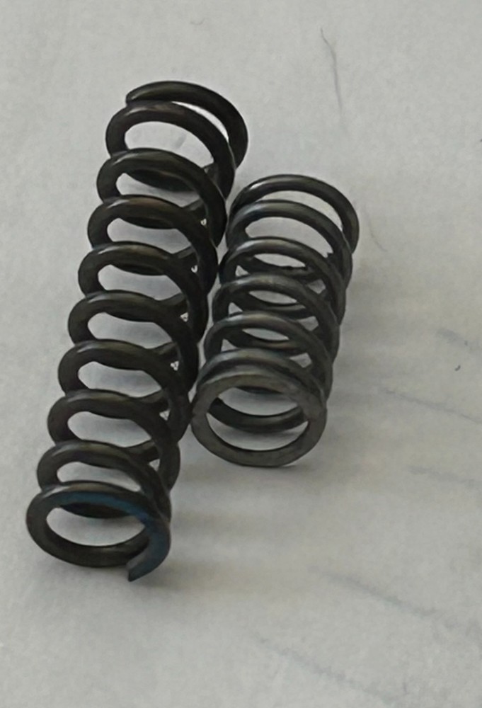 554076 Spring