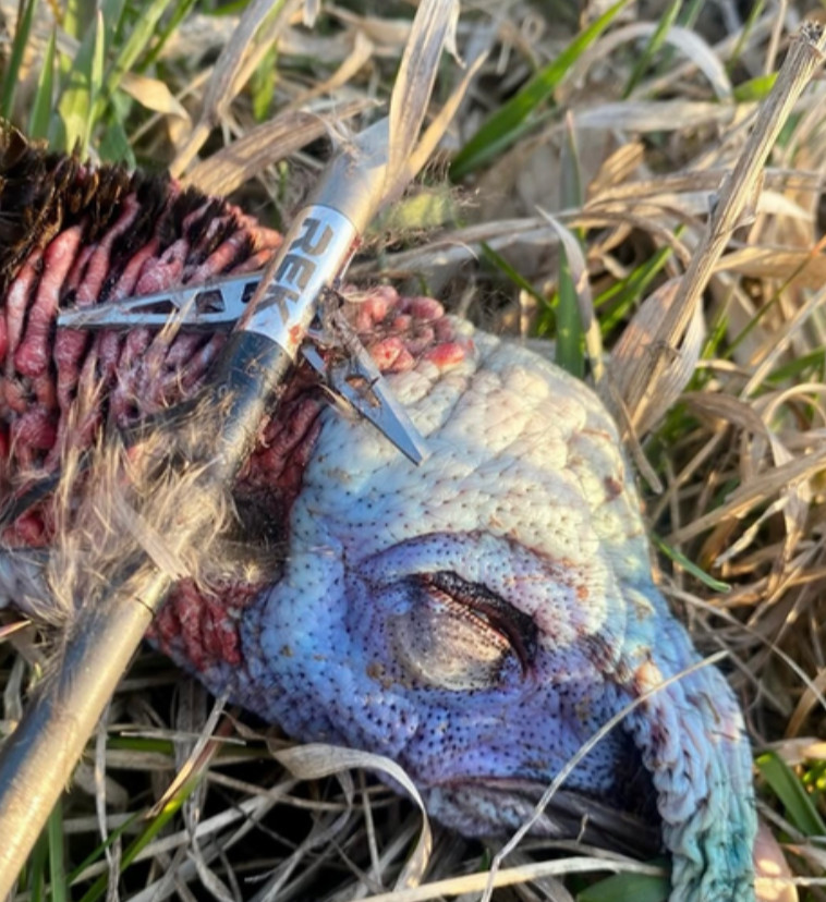 REK XP Broadhead 100 Grain 3 Pack