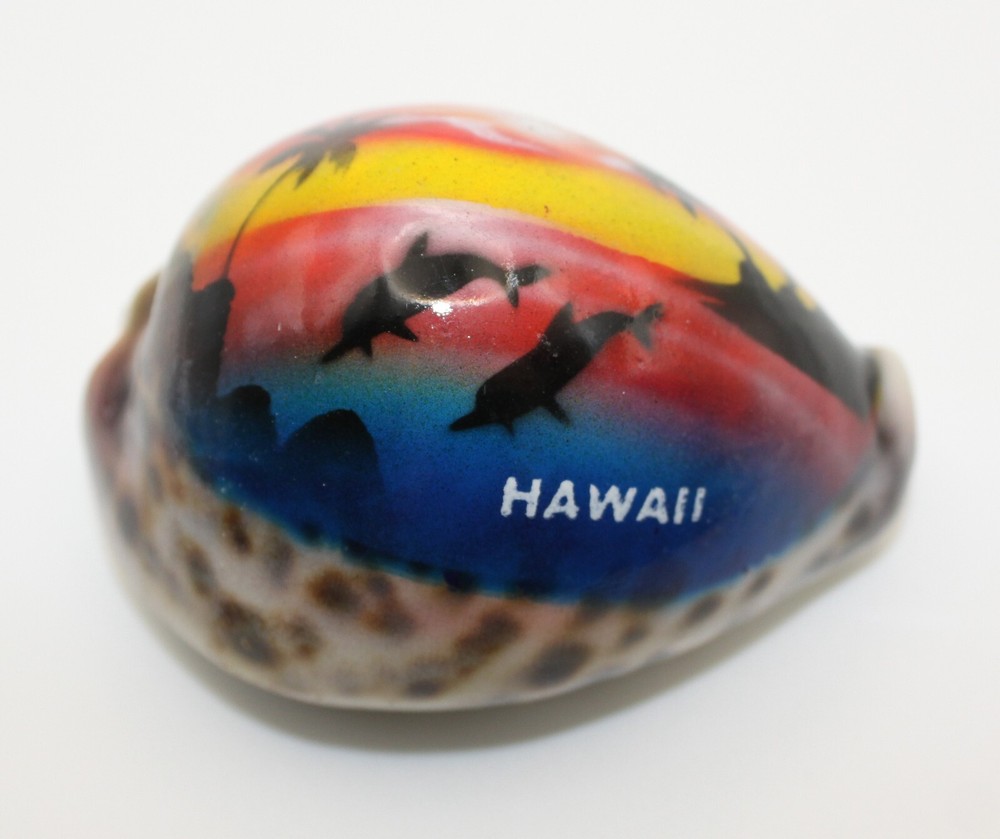 Painted Sunset Cowrie Shells, Assorted Colors, Hawaii Souvenirs