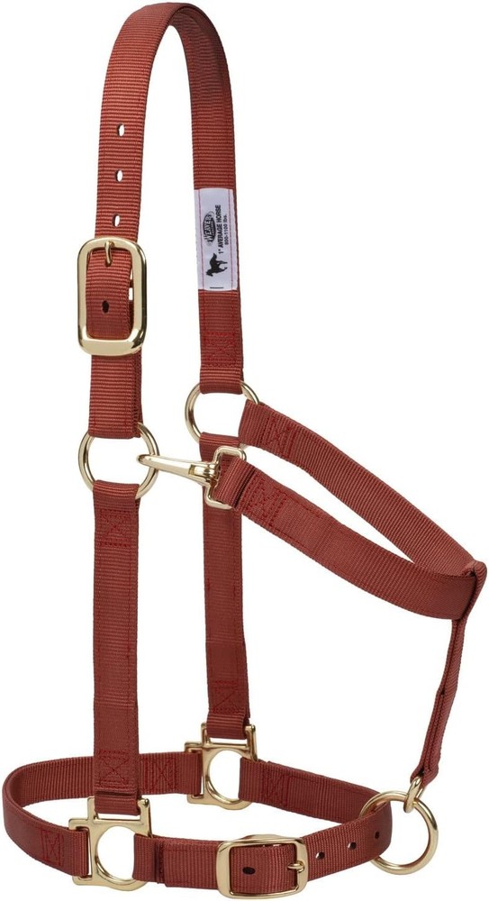 Weaver Leather Basic Adjustable Average Padded Nylon Halter - Adjustable Crown